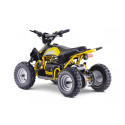 POCKET QUAD ÉLECTRIQUE 800W ENFANT KEROX E-REX BW6